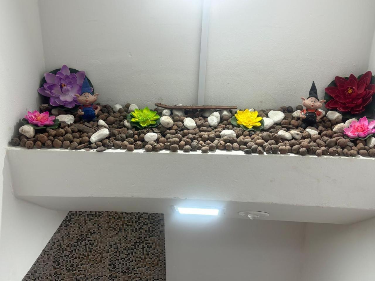 Apartamento Lofts 04 Recife